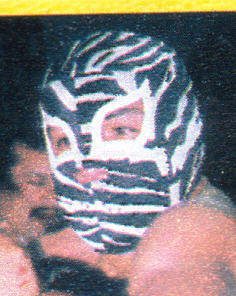 Zebra Jr.