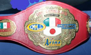 CMLL-JP-Womens-Title-2020.jpg