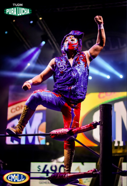 File:Sonic CMLL.png