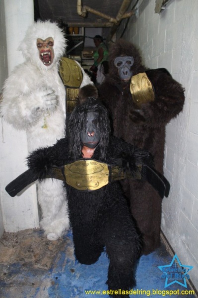 File:Gorilas trio.jpg