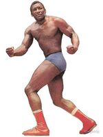 Dory Dixon Luchawiki