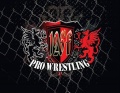 126f Pro Wrestling
