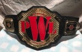 PWL Hybrid Championship