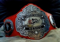 KaozCruiserweightBelt.jpg