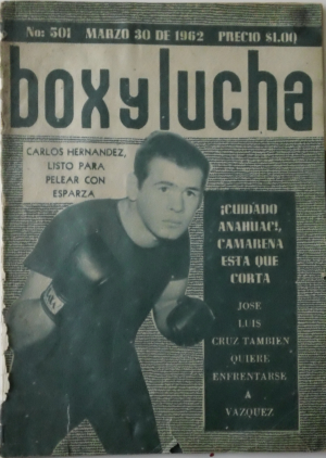 BoxyLucha501.png