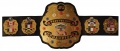 UIPW Heavyweight Championship