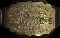 championship belt