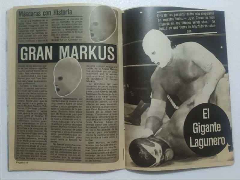 File:Gran-markus-article.png