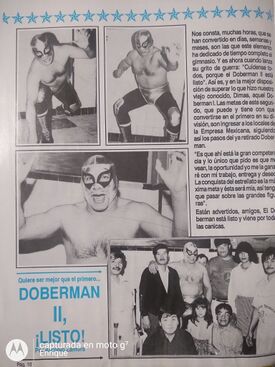 Doberman II