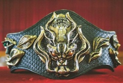 Tohoku Junior Heavyweight Championship.jpg