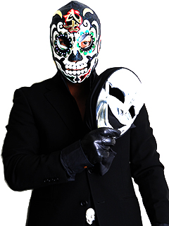 File:Bushi Ingobernable.jpg