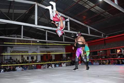 File:Rey pegaso action.jpg