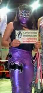 Morrigan (Chihuahua)