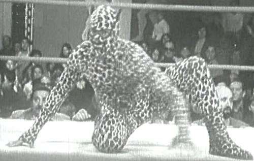 File:208262 leopardo.jpg