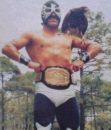 File:Aguila Solitaria Nat Welter.jpg