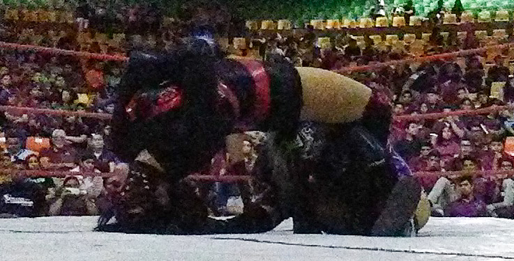 File:PSX 20150101 003247.jpg