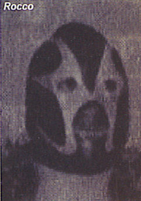 Rocco