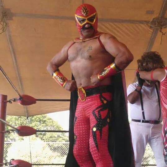 File:Centella Roja (Puebla) 2016.jpg