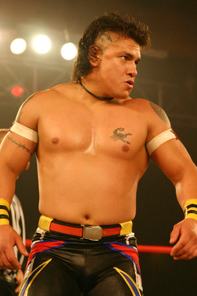 File:HEAVY METAL EN TNA.jpg