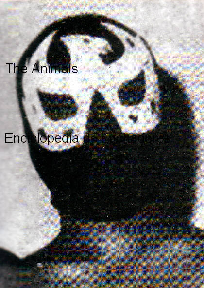 File:Caballero Halcon CR.jpg