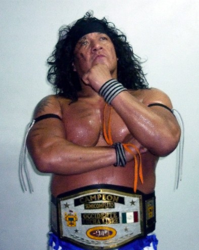 File:Felino occidentelh.jpg