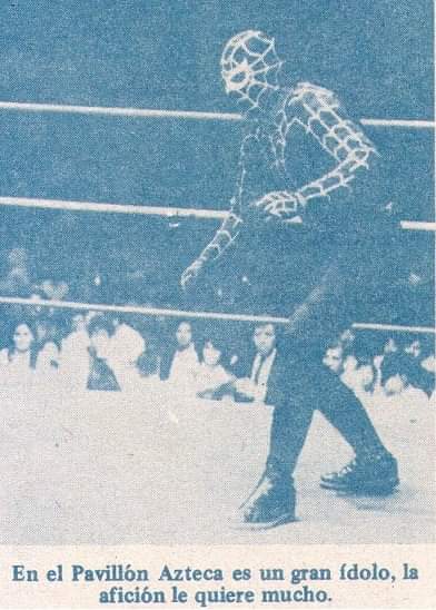 File:Araña negra a.jpg