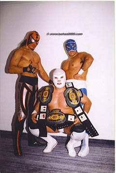 File:Cmlltrios warrior panther wagner.jpg