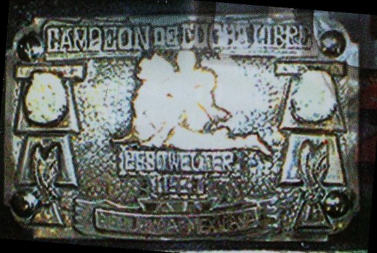 File:Mexwelter oldbelt.jpg