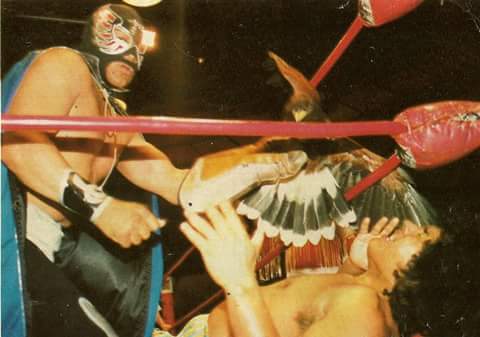 File:FB IMG 1470558412201.jpg