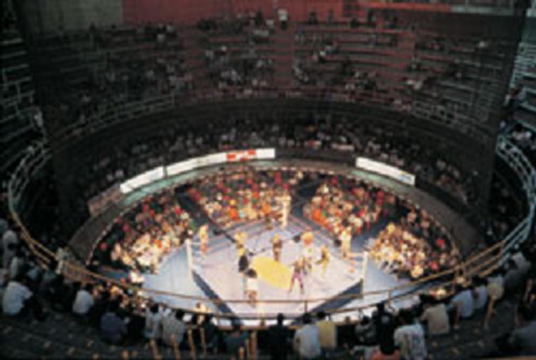 File:Arenacoliseodf2.jpg