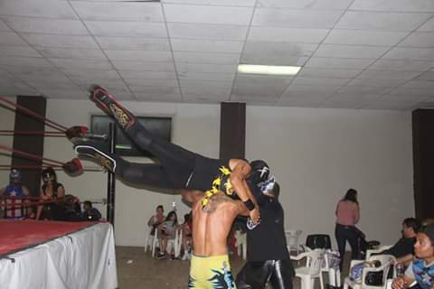 File:Arix action.jpg