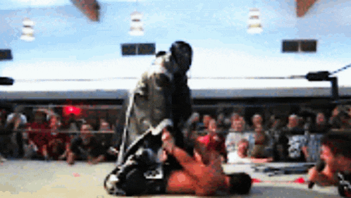 File:CurbStomp.gif
