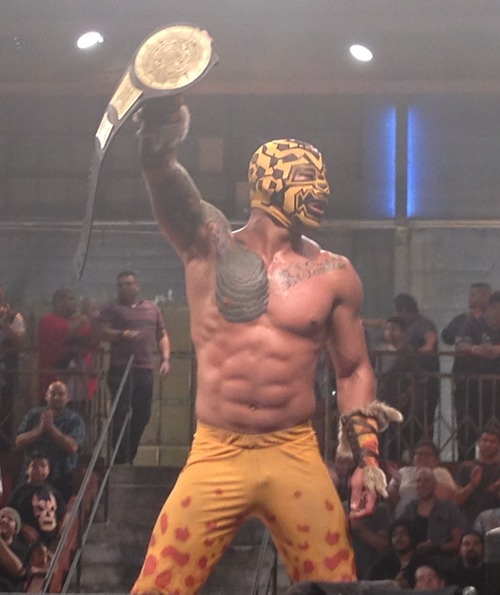 File:Prince puma luxa underground champ.jpg