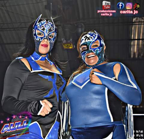 File:Thormenta mohicana.jpg