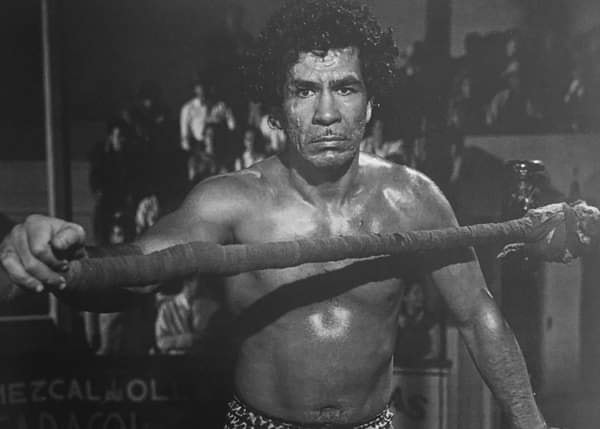 File:185368846 300926314962727 8476847321841232166 n.jpg