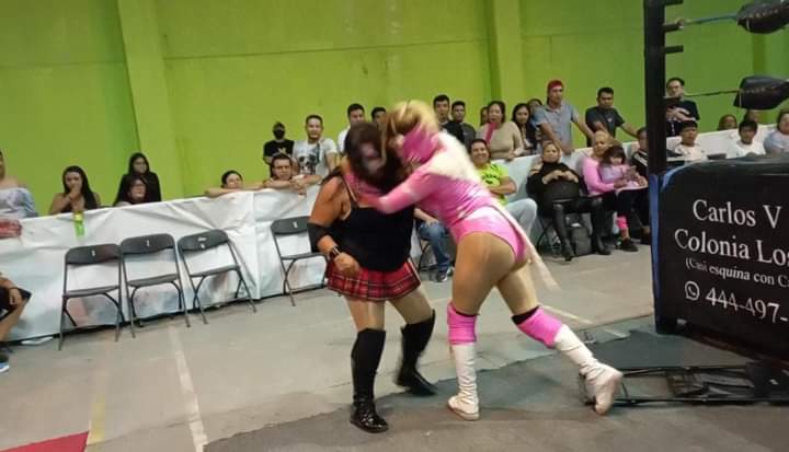 File:Gotica action.jpg