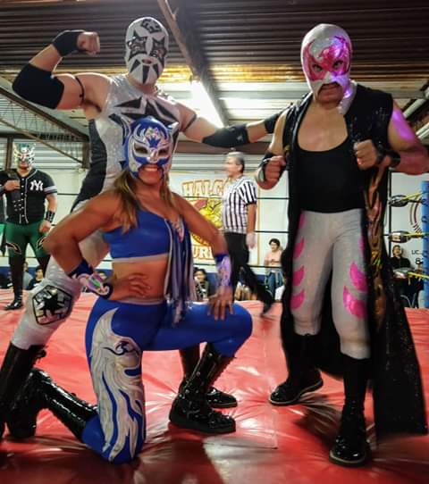 File:Halcón Star Karisma.jpg