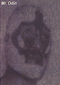 Mr. Odin