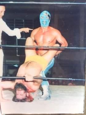 File:Silver Fox II.jpg