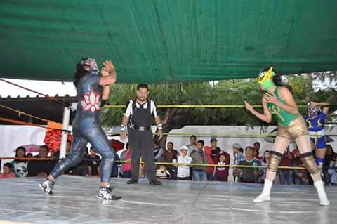 File:Lotthus debut.jpg