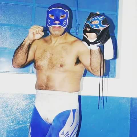 File:Blue Panther Lizmark jr mask.jpg