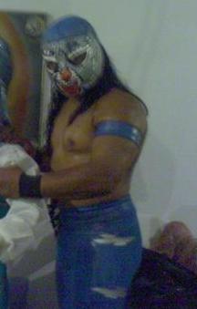 Mini Tigre Universitario