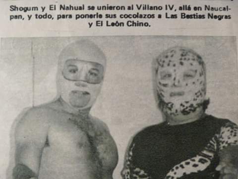 File:Shogun Scaramouche.jpg