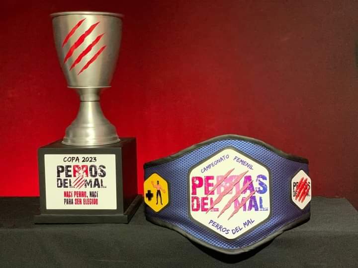 File:PDM women title.jpg