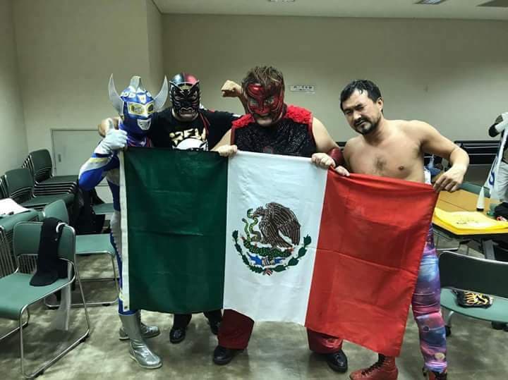 File:Rey gato mexico.jpg