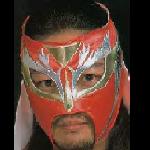 Hayabusa (Peregrine Falcon)