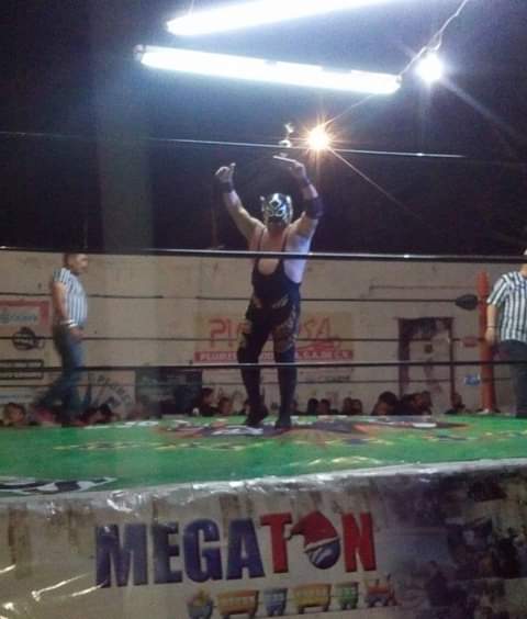 File:Tigre de bengala sonora 1.jpg