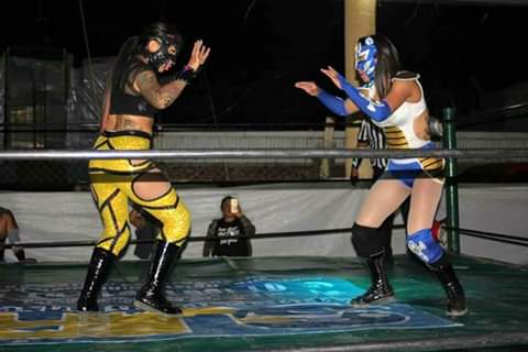 File:Siomara vs Bastet.jpg