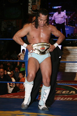 File:Cmllwelter negro.jpg