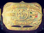 File:Nwa-mid4thbelt.png